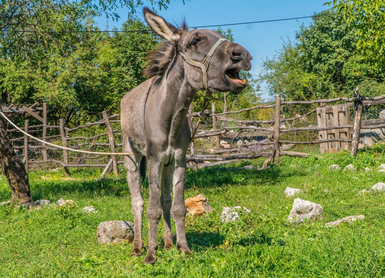 Agroturizam Duvancic - Konoba Dida Marka Drniš Exterior foto